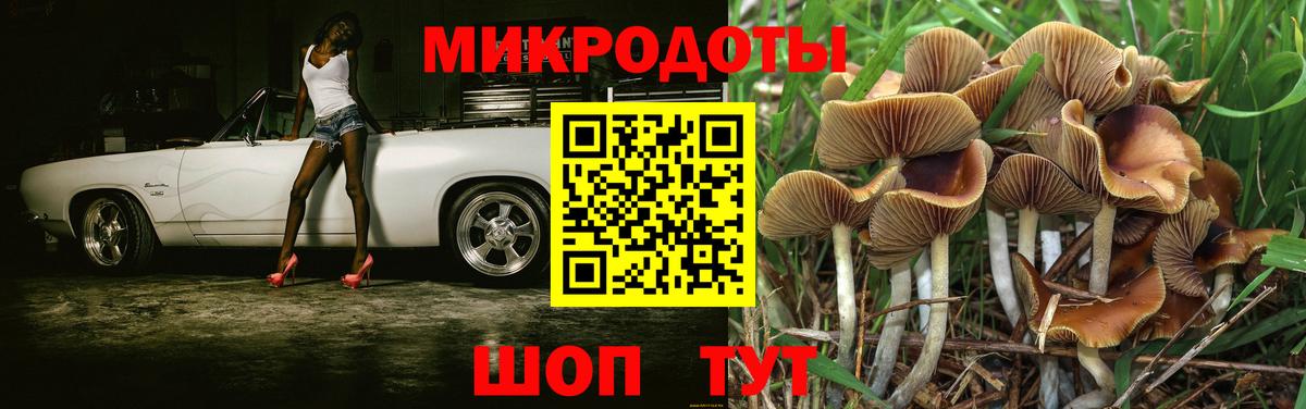 Сокол  Галлюциногенные грибы MAGIC MUSHROOMS  Вход с VPN  Псилоцибиновые грибы Magic Shrooms 